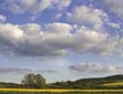 Heavenly countryside, Devon and Cornwall: Travel Intelligence